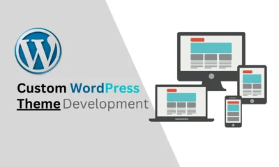 custom wordpress theme