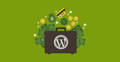 wordpress plugie monitization